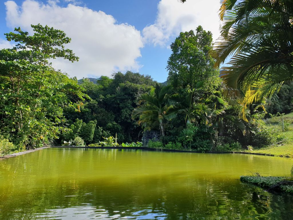 La Vallée de Ferney et le site historique de Vieux Grand Port